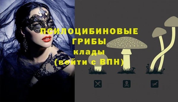 прущая мука Билибино