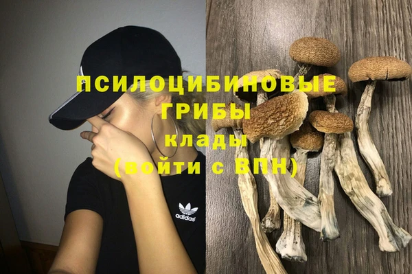 бошки Белоозёрский