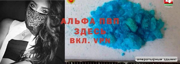 ешки Новокубанск