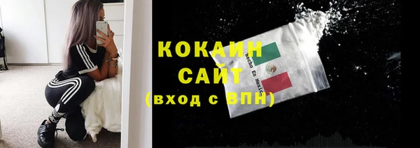 мяу мяу мука Новозыбков