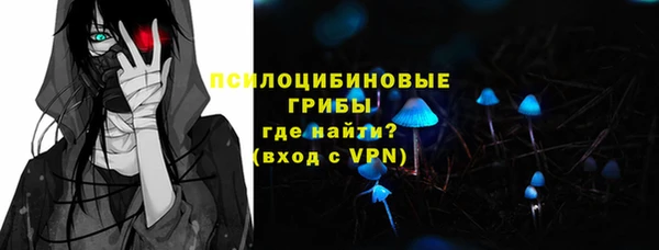 ешки Новокубанск