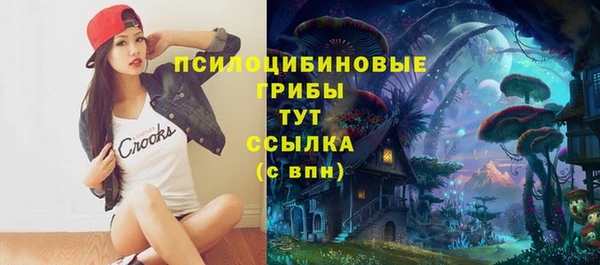 ешки Новокубанск